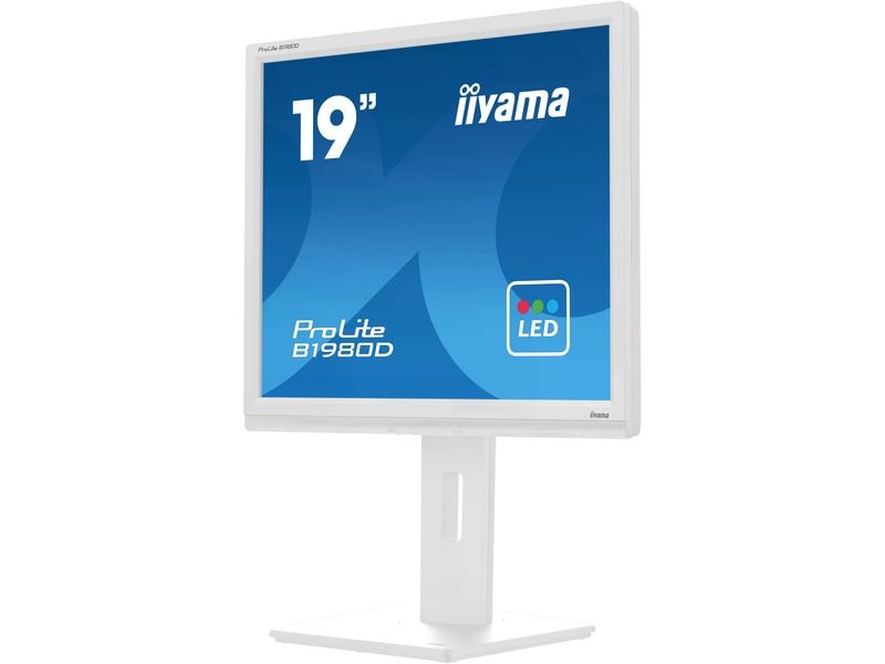 iiyama Moniteur Prolite B1980D-W5 19 "