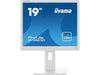 iiyama Monitor Prolite B1980D-W5 19 