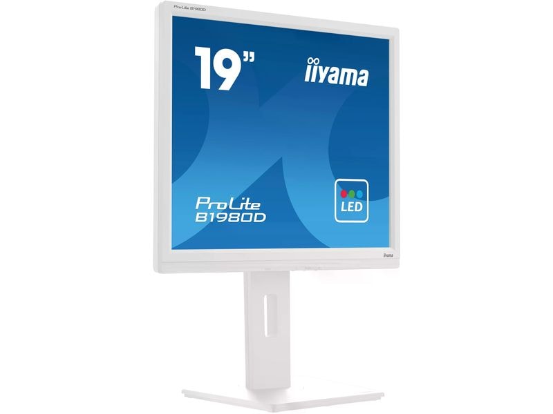 iiyama Monitor Prolite B1980D-W5 19 "