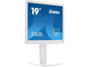 iiyama Monitor Prolite B1980D-W5 19 