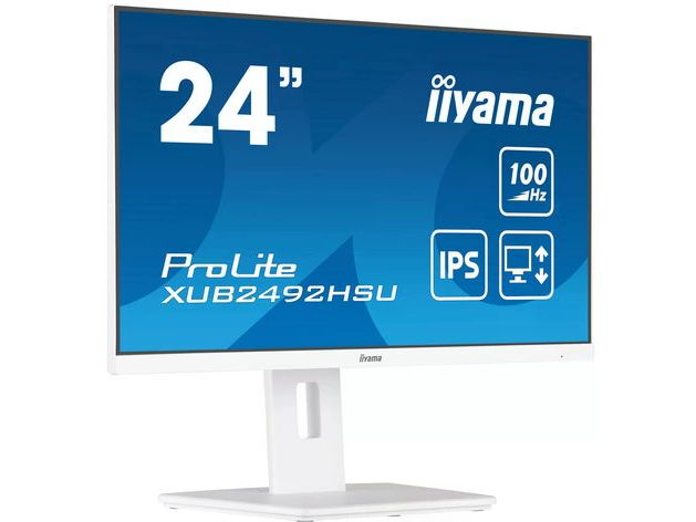 iiyama Moniteur ProLite XUB2492 hSU-W6