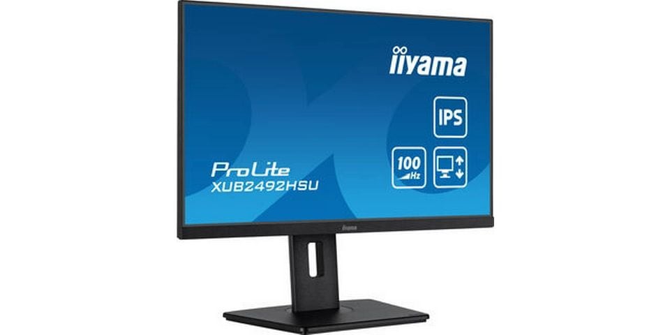 iiyama Moniteur ProLite XUB2492 hSU-B6