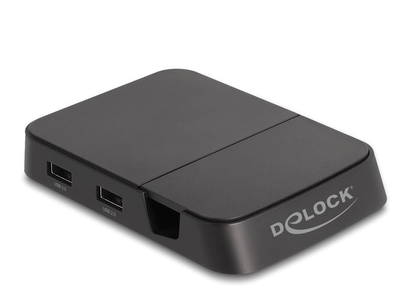 Delock Dockingstation 4K mit integrierter Halterung