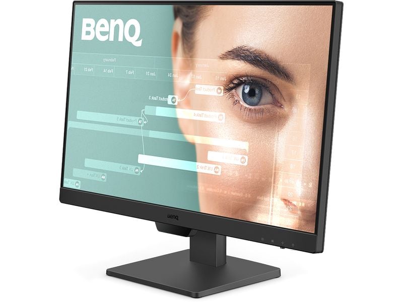 BenQ Moniteur GW2490