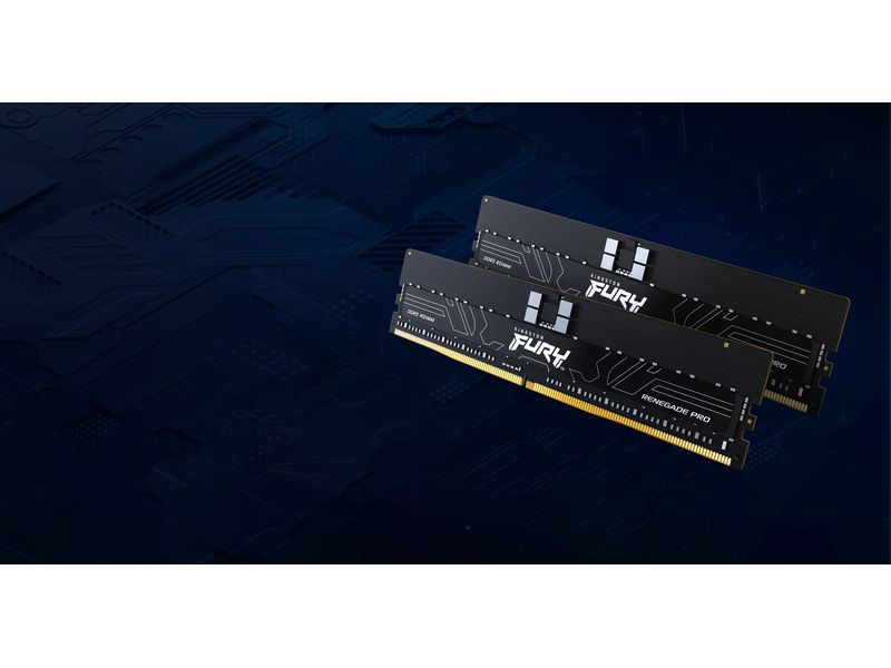 Kingston DDR5-RAM FURY Renegade Pro 5600 MHz 1x 32 GB