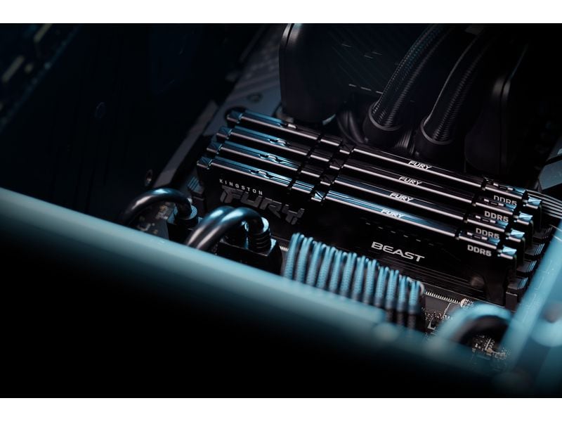 Kingston DDR5-RAM FURY Beast 5600 MHz 1x 64 GB