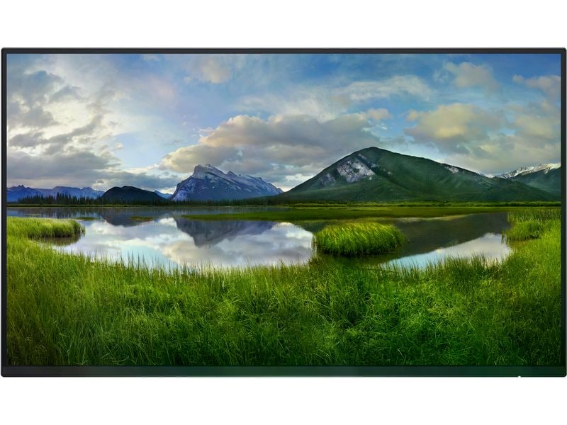 DELL Monitor P2425HE WOST ohne Standfuss