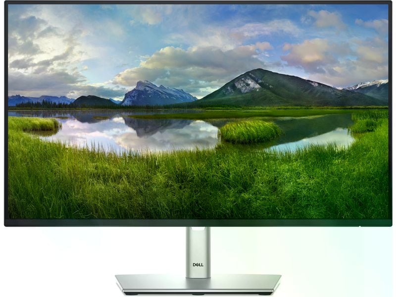 DELL Monitor P2425HE