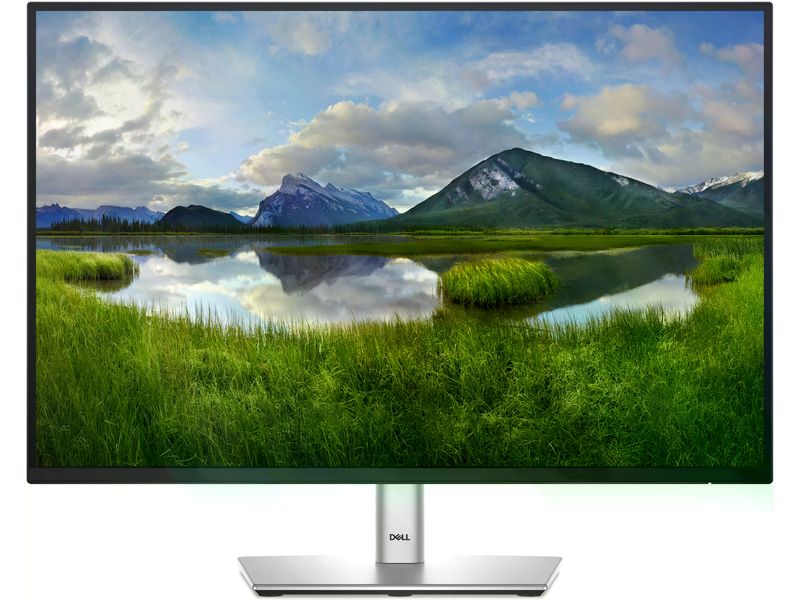 DELL Monitor P2425E