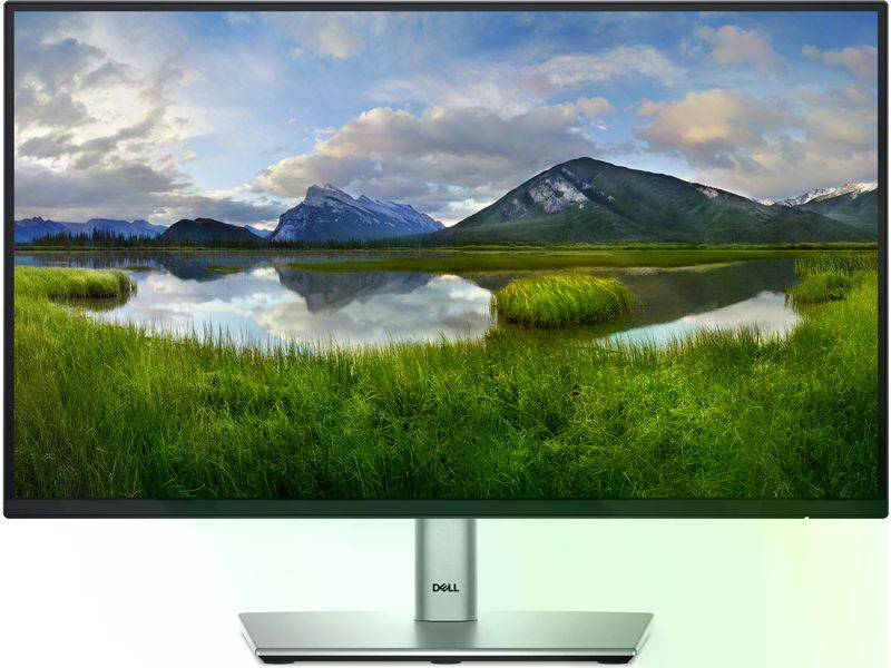 DELL Monitor P2225H