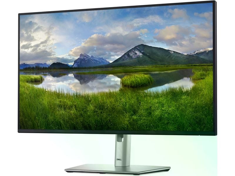 DELL Moniteur P2725HE