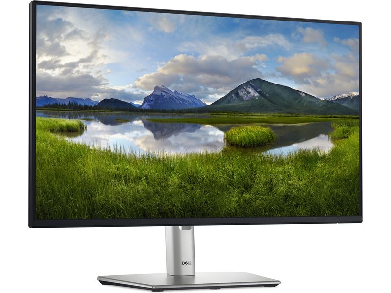 DELL Monitor P2425H