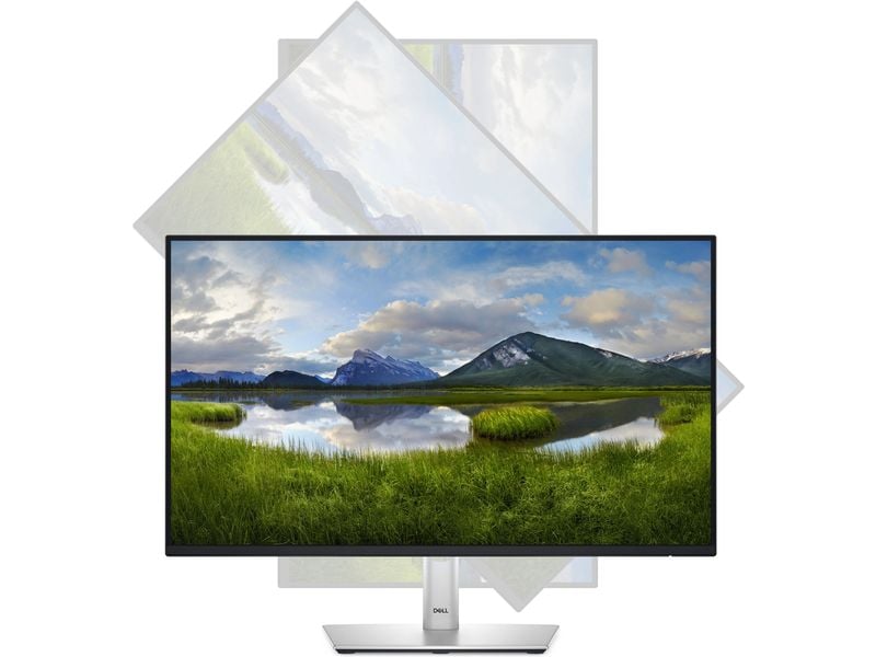 DELL Moniteur P2425HE