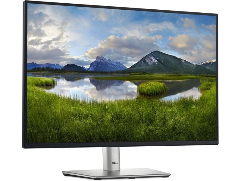 DELL Monitor P2425