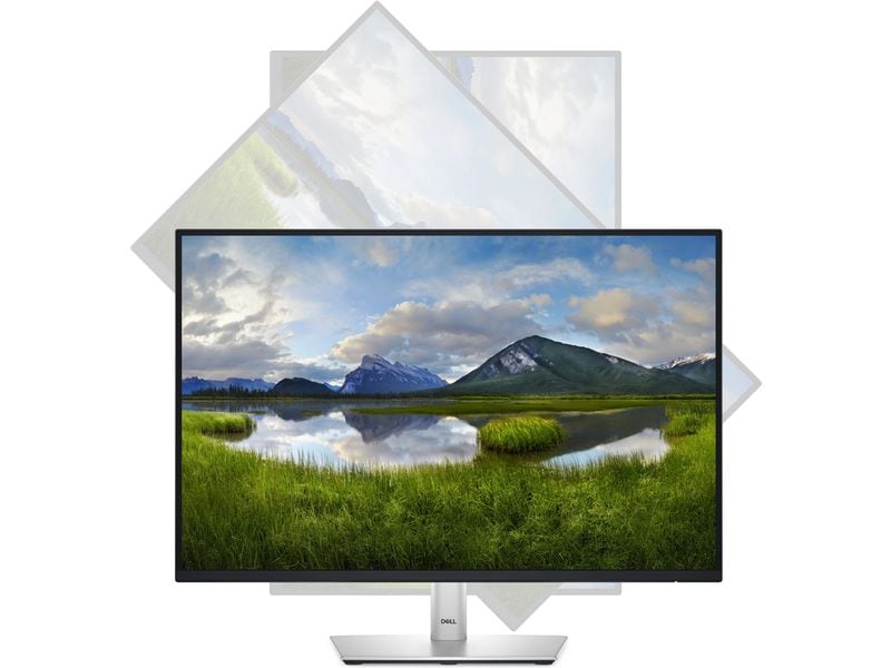 DELL Monitor P2425E