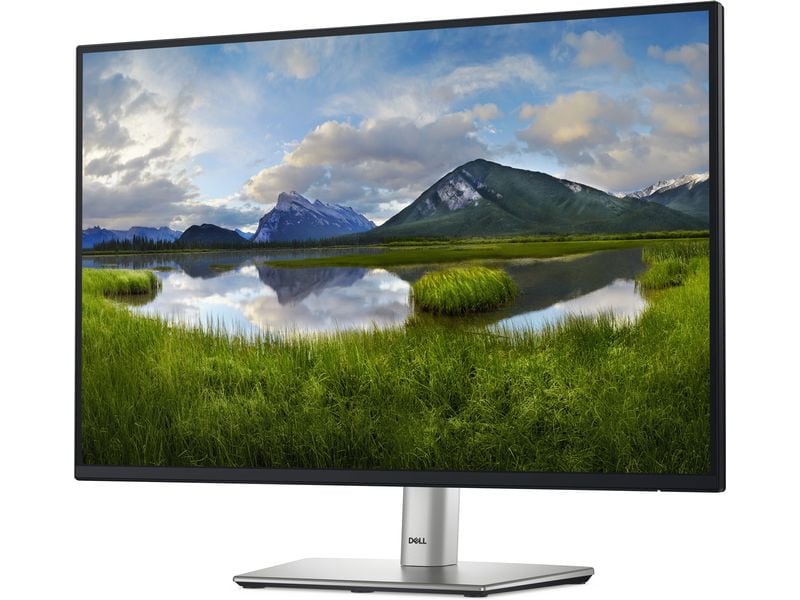 DELL Monitor P2425