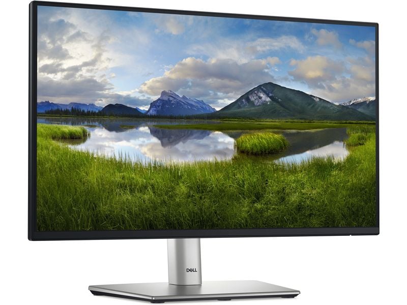 DELL Monitor P2225H