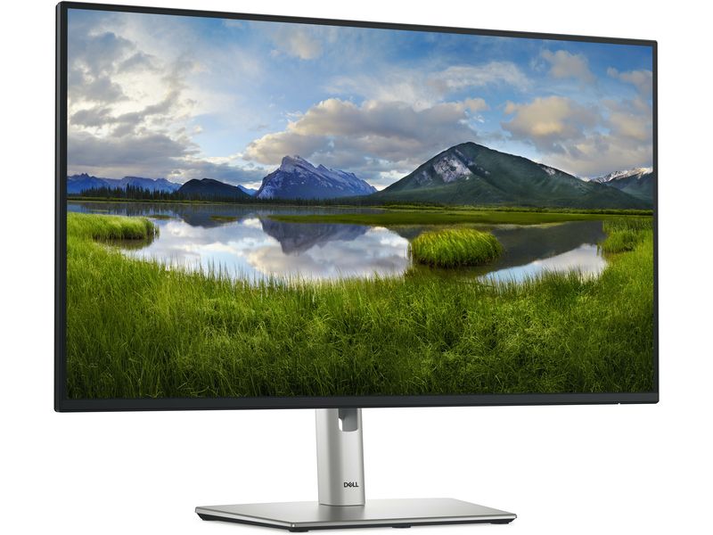 DELL Monitor P2725H