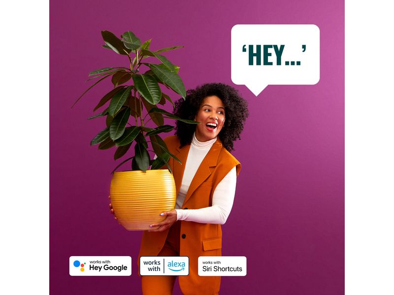 WiZ Leuchtmittel 8W E27 A60 Tunable White