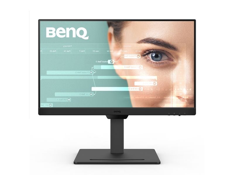 BenQ Moniteur GW2490T