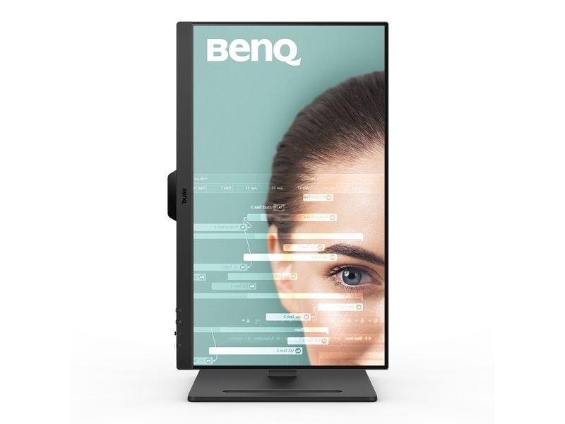 BenQ Moniteur GW2490T