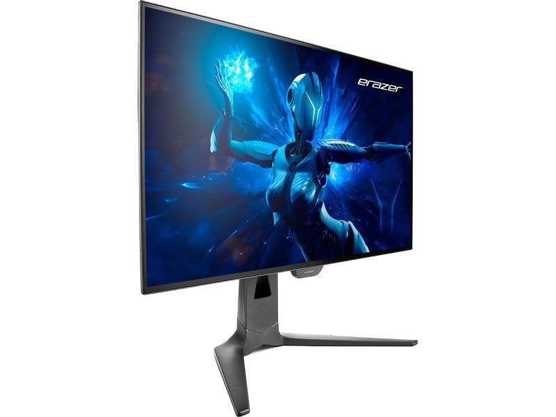 Erazer Moniteur Spectator X60 (MD21827)