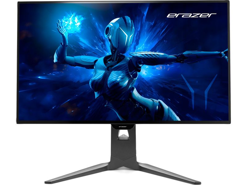 Erazer Moniteur Spectator X60 (MD21827)