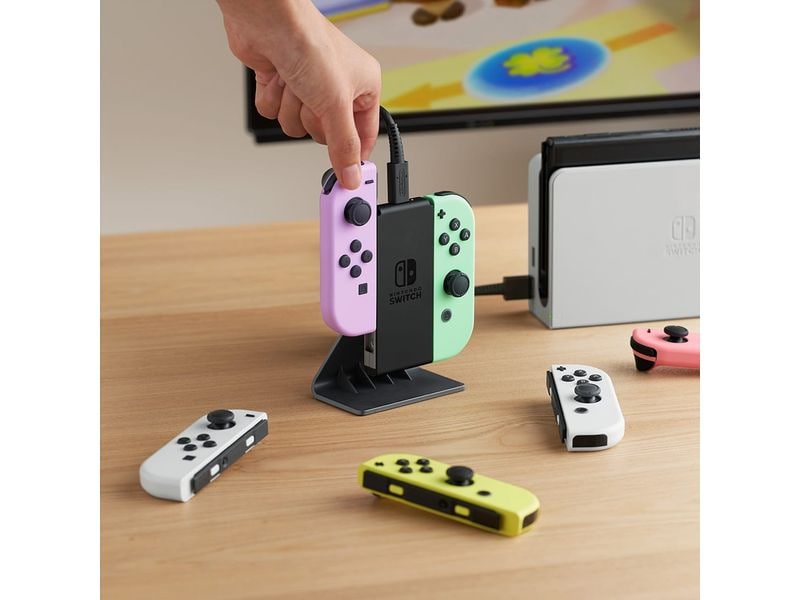 Nintendo Joy-Con Ladeaufsteller