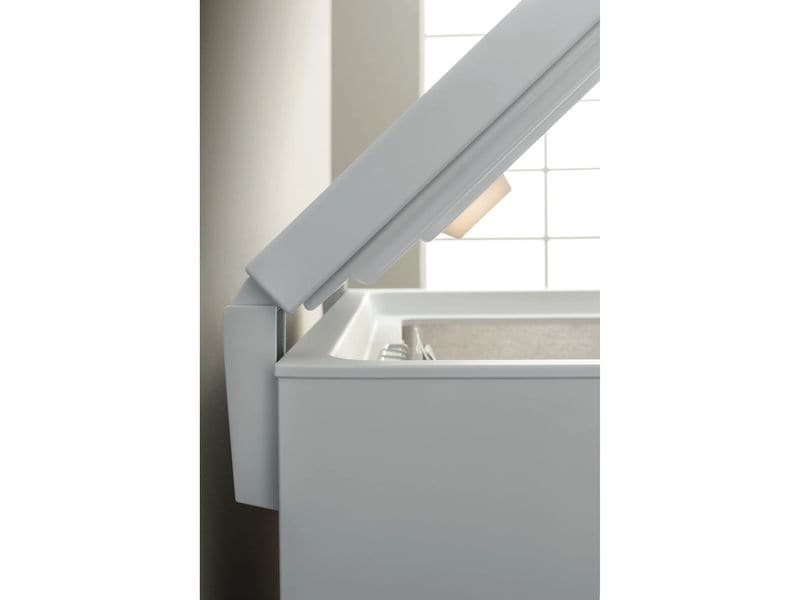 Bauknecht Gefriertruhe GTE 608 FA 3 CH