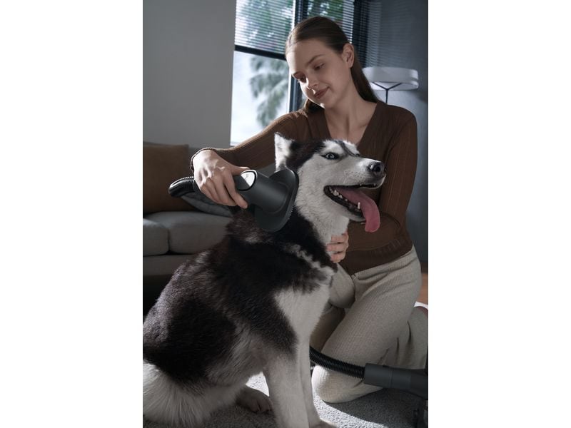 Xiaomi Akku-Hand- und Stielsauger G20 Max Grau