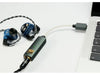 iFi Audio Amplificateur de casque & USB-DAC GO link Max