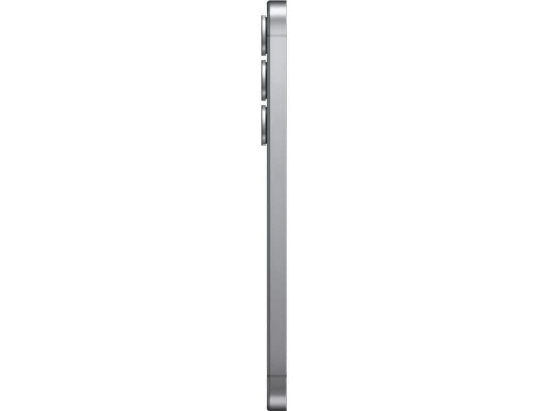Samsung Mobile B2B Galaxy S25 256 GB Enterprise Edition Silver Shadow