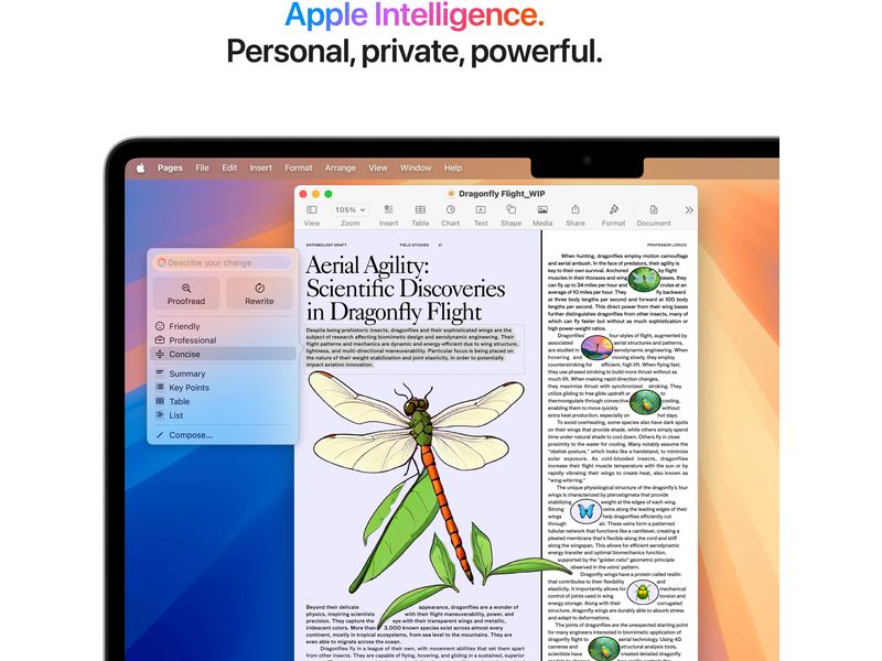 Apple MacBook Air 13