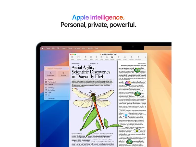 Apple MacBook Air 13