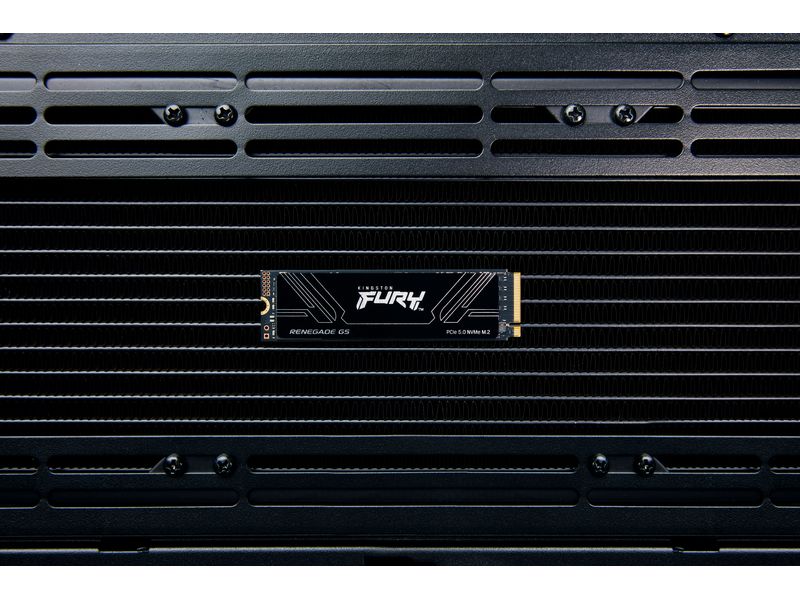 Kingston SSD FURY Renegade M.2 2280, NVMe M.2 NVMe 4096 GB
