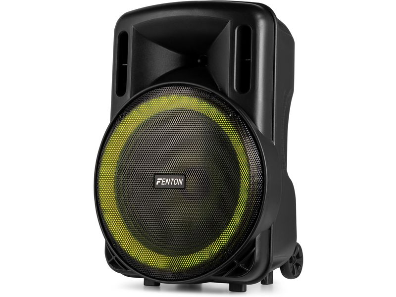 Fenton Lautsprecher FT15 LED MK2