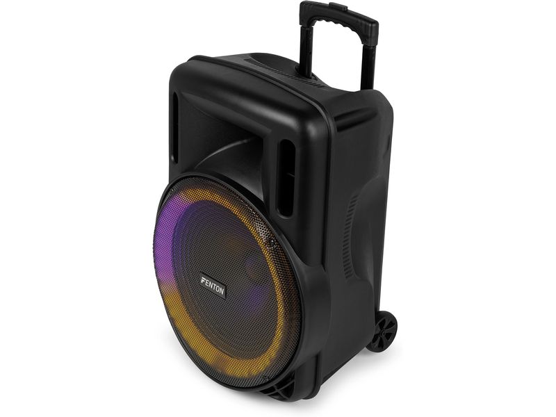 Fenton Lautsprecher FT15 LED MK2