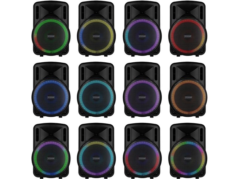 Fenton Lautsprecher FT15 LED MK2