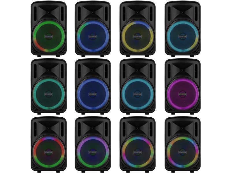 Fenton Lautsprecher FT12 LED MK2