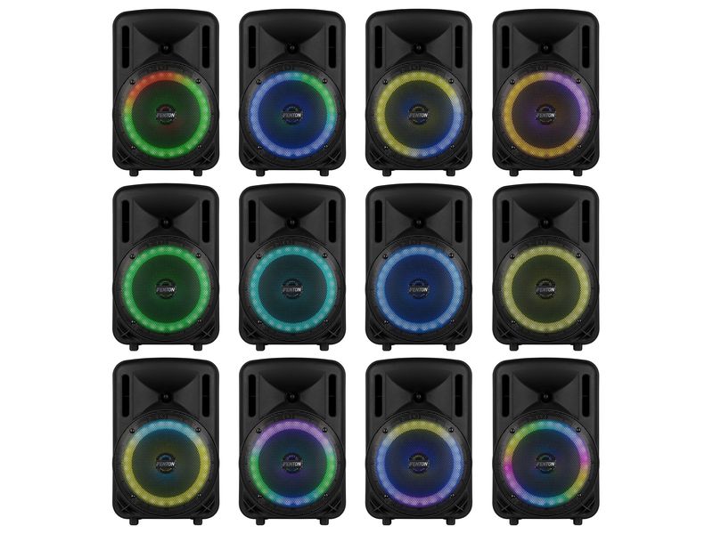Fenton Lautsprecher FT08 LED MK2