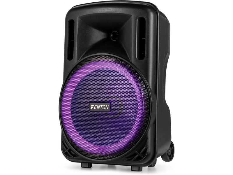 Fenton Lautsprecher FT12 LED MK2