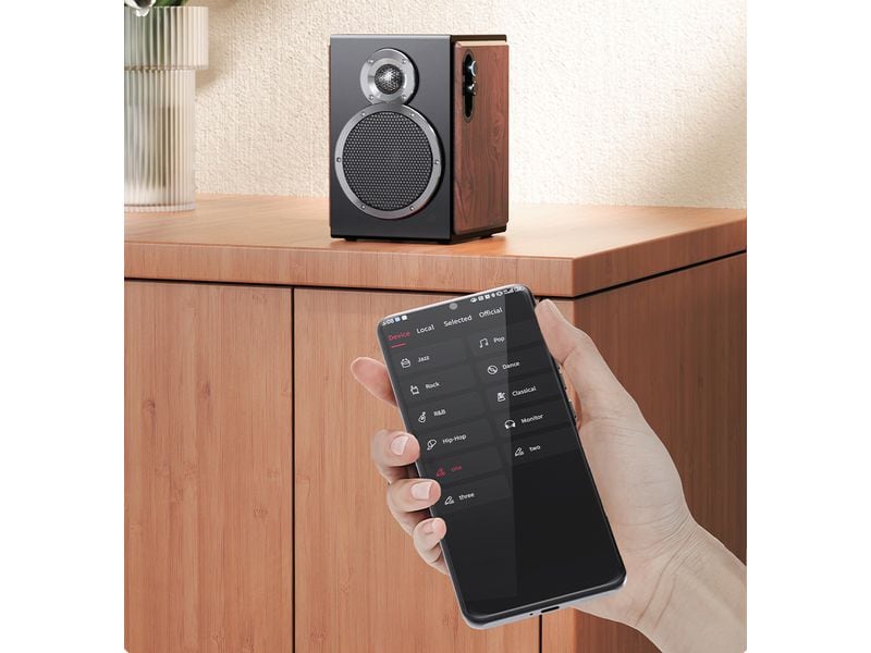 FiiO SA1 Aktiv-Lautsprecher (1 Paar) Schwarz/Holz