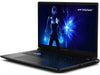 Erazer Notebook Defender 17 P1 (MD62755)