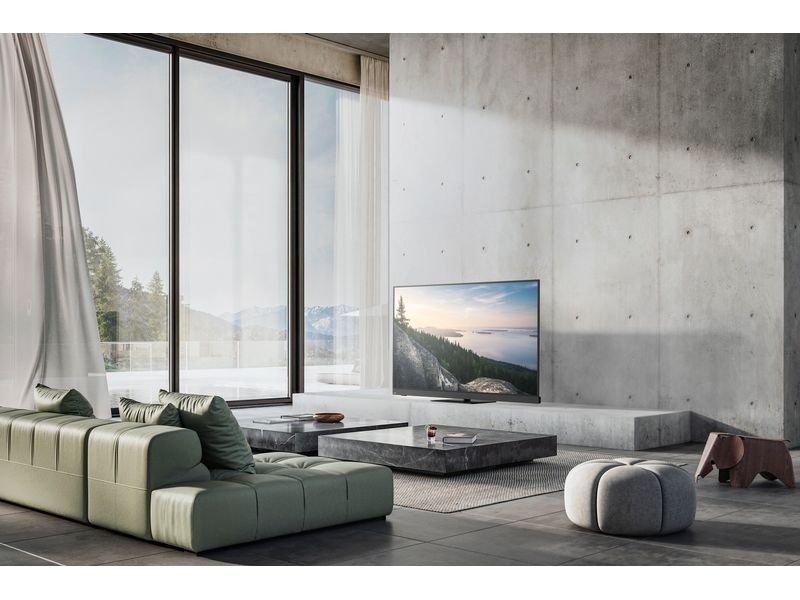 Panasonic TV-77Z90BEK 77