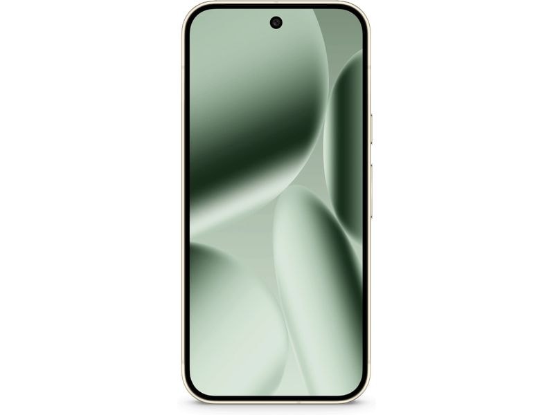 Google Pixel 10 Pro 256 GB Jade