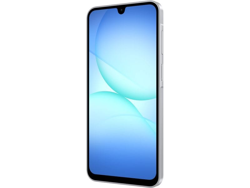 Samsung Galaxy A17 LTE 128 GB Grey