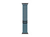 Apple Alpine Loop 49 mm Light Blue Black Titanium Small