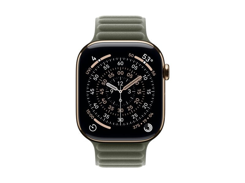Apple Magnetic Link 46 mm Sage Gray M/L