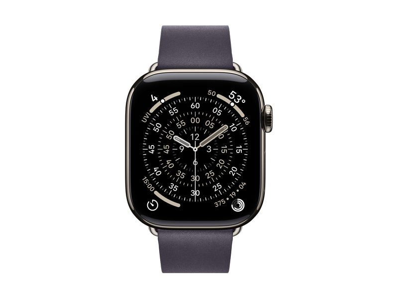 Apple Modern Buckle 42 mm Purple Medium