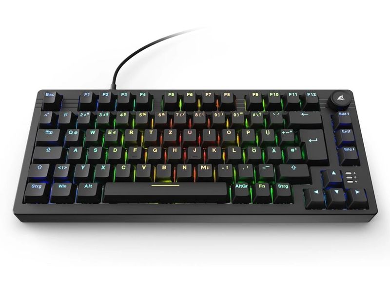 Sharkoon Gaming-Tastatur SKILLER SGK25